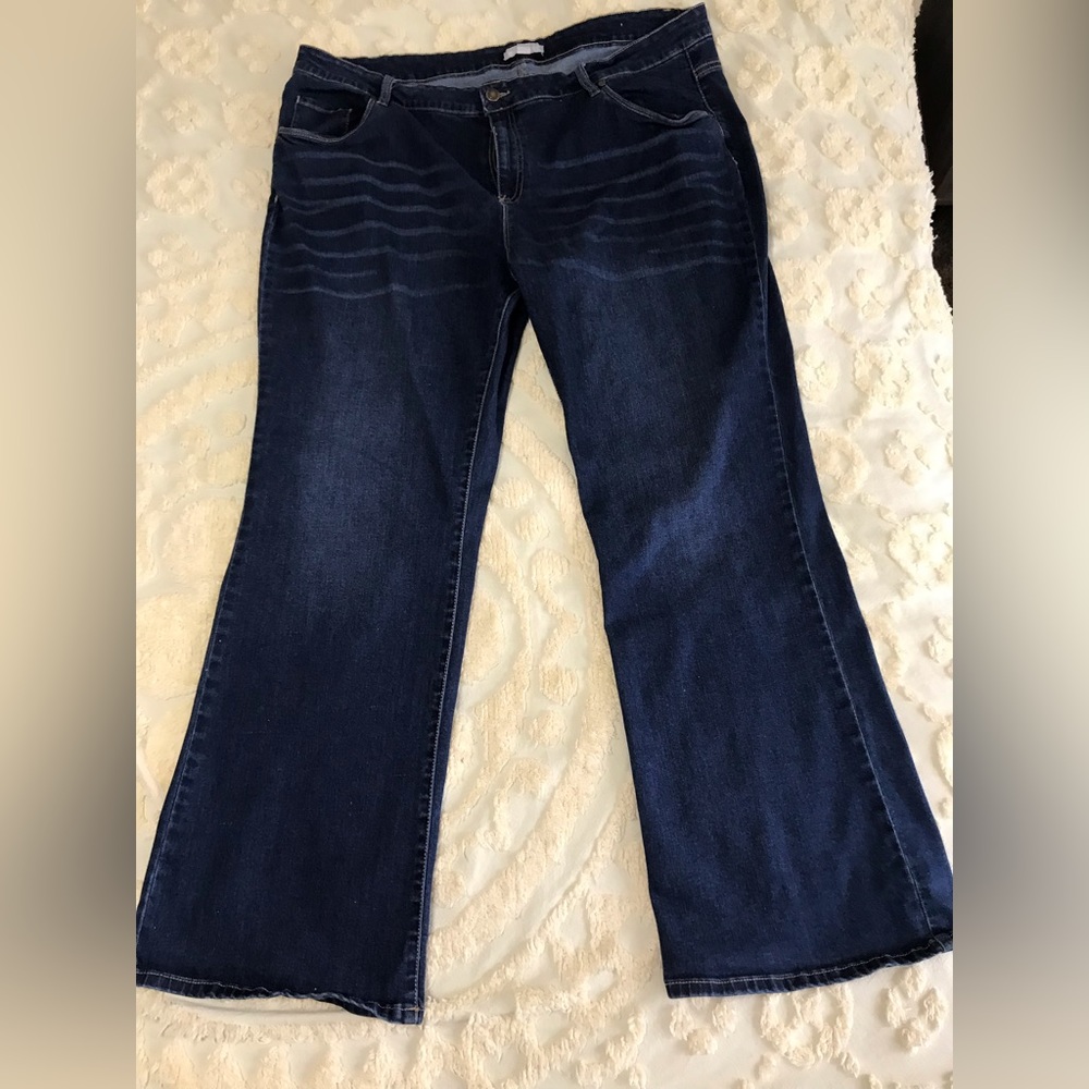 Women within plus size jeans size 24w